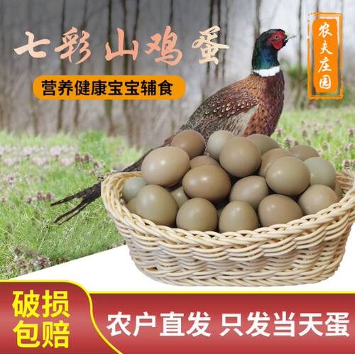野鸡蛋正宗七彩山鸡蛋营养高农村