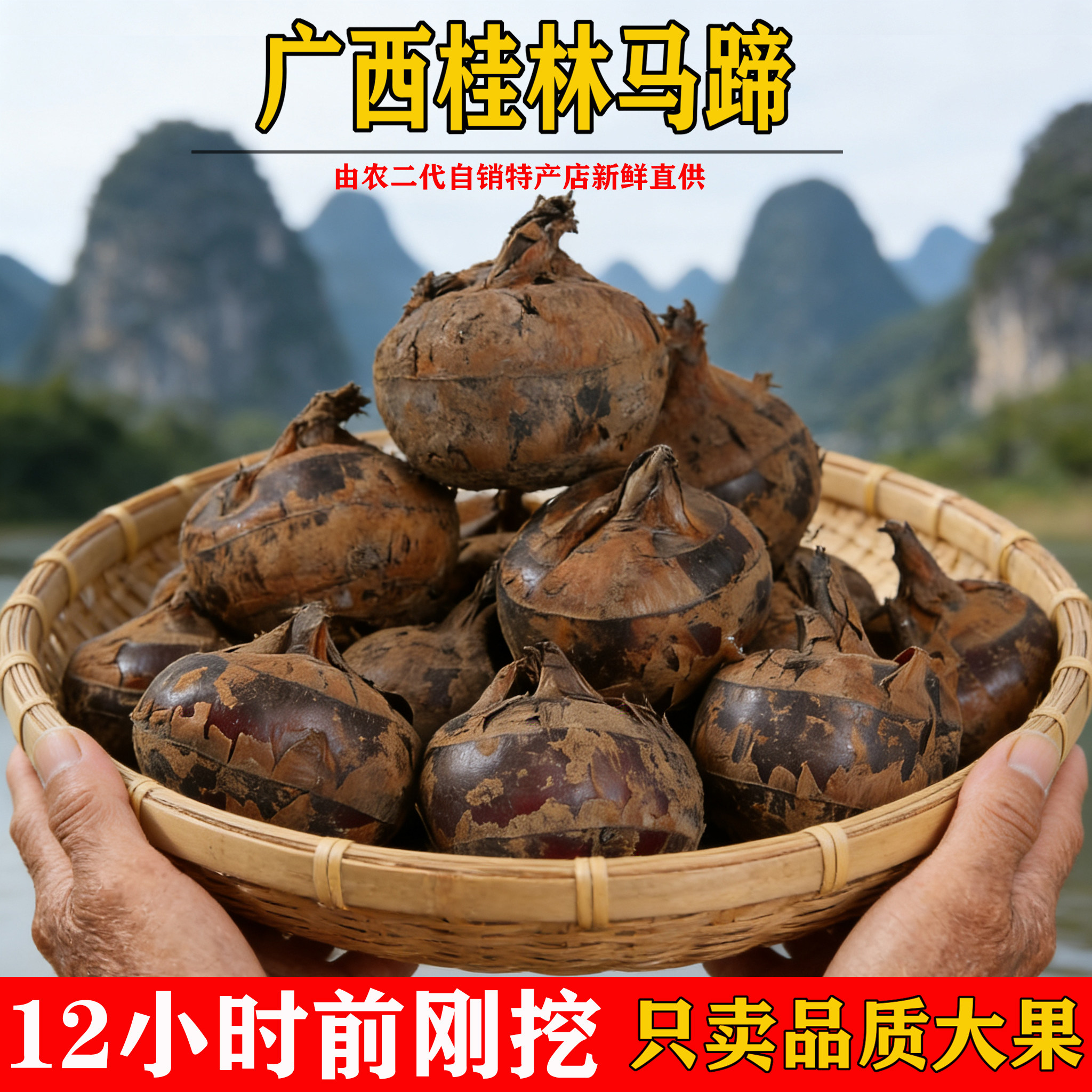 广西桂林荸荠新鲜马蹄特大果脆甜马蹄荔浦现挖地梨当季蔬菜水果