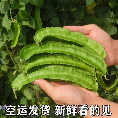 顺丰空运三亚鲜嫩四角豆新鲜蔬菜