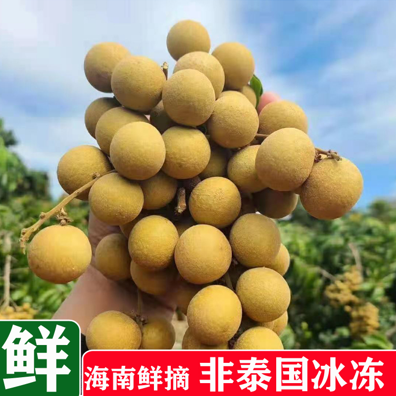 空运5斤非进口冰冻海南三亚新鲜热带龙眼桂圆农产品