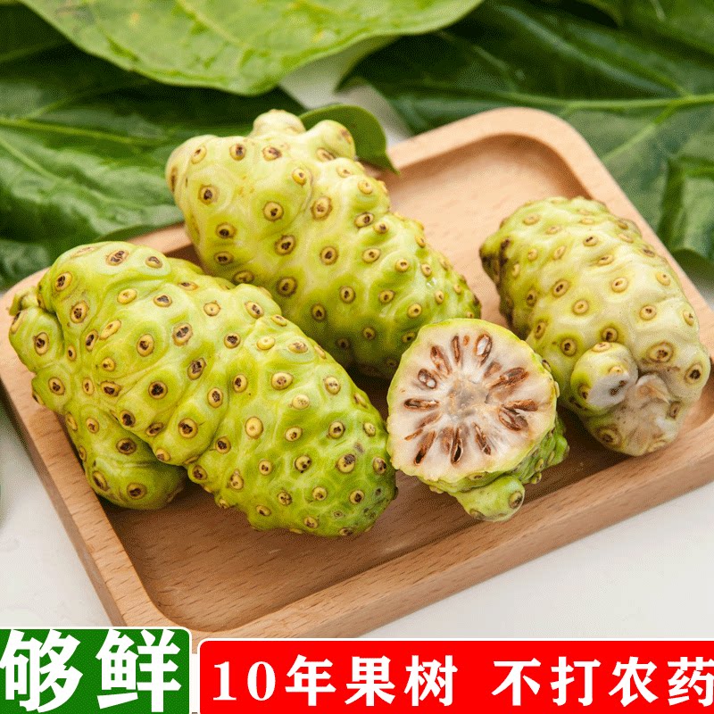 顺丰空运5斤新鲜海南三亚水果诺丽果诺尼果诺力果