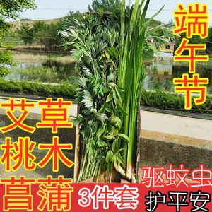 4件套端午节挂艾草新鲜送五彩绳挂菖蒲桃枝4种艾蒿艾叶新鲜桃木