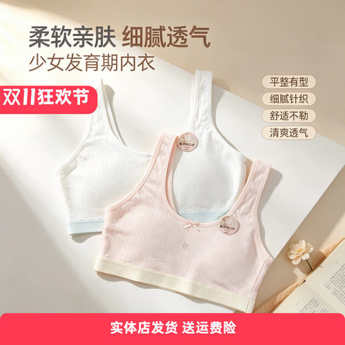 香蜜闺秀无钢圈A杯透气少女文胸