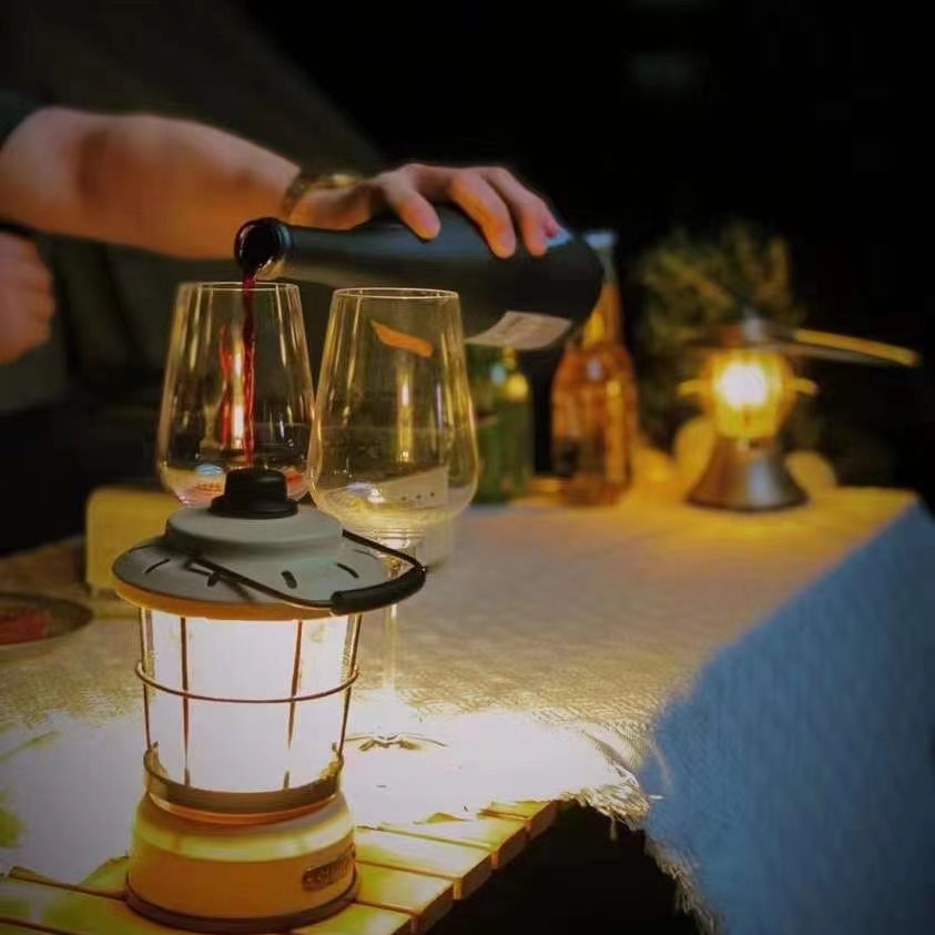 推荐法国原瓶进口红酒白马歌德系列干红葡萄酒6支装包邮