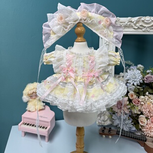 DANI个性 化设计20cm棉花娃娃衣服星黛露玲娜贝儿着替莉娜熊公主裙