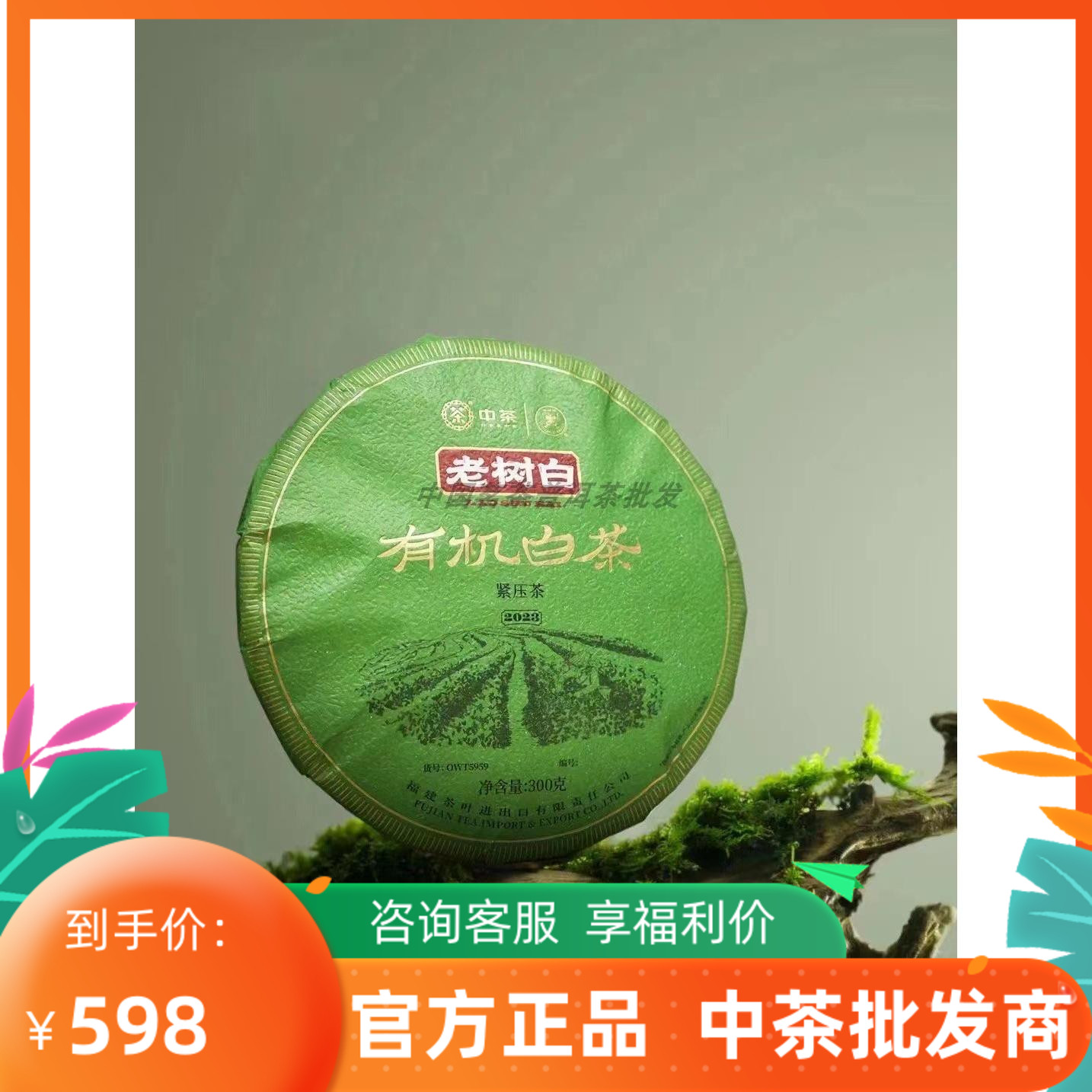 2023年中茶蝴蝶牌老树白有机白茶（OWT5959）300克/饼