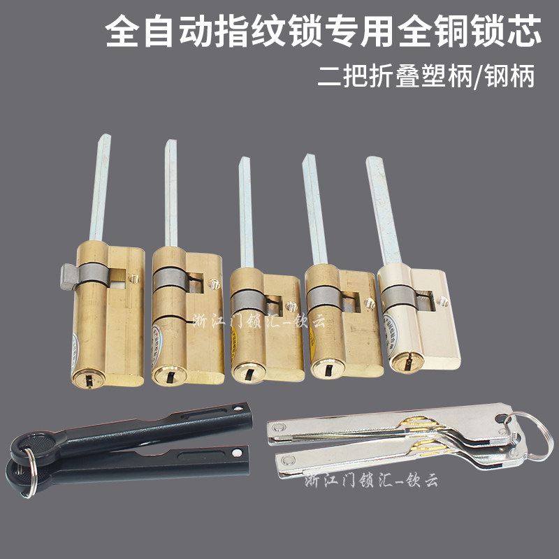 电子锁智能锁专用锁芯全自动带扁杆锁芯防盗门半自动无杆指纹锁芯