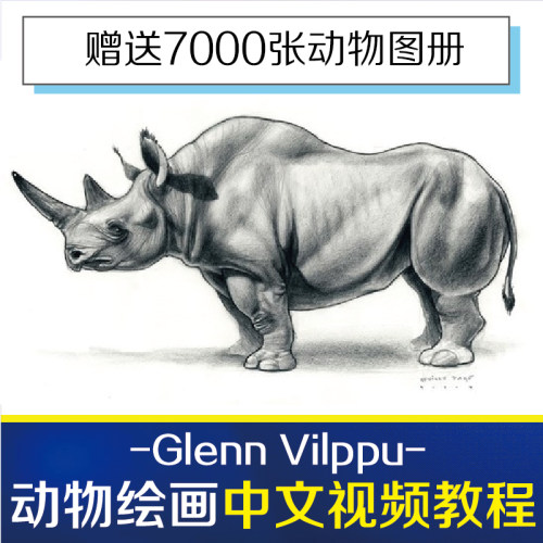 外网教程GlennVilppu动物画技法解剖骨骼结构图动画设计手绘插画
