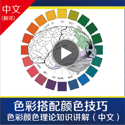 自学零基础色彩理论基础知识美术教学中文视频外网课程肥猫彩印