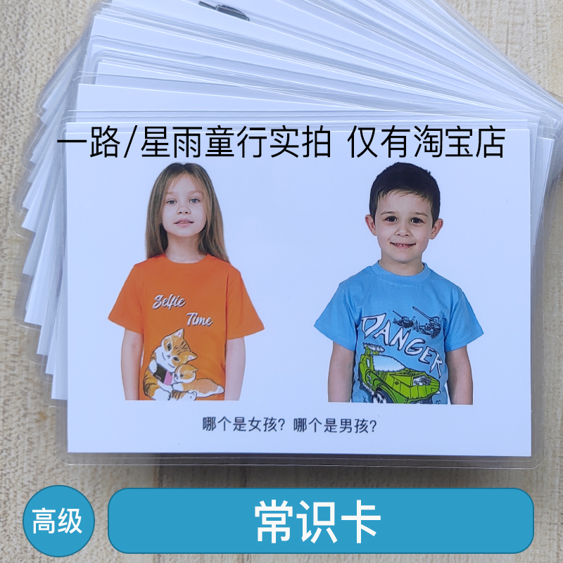 自闭症认知理解语言发育迟缓教具