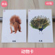 训练教学用具 婴幼儿童语言发育迟缓 动物认知卡片 自闭症