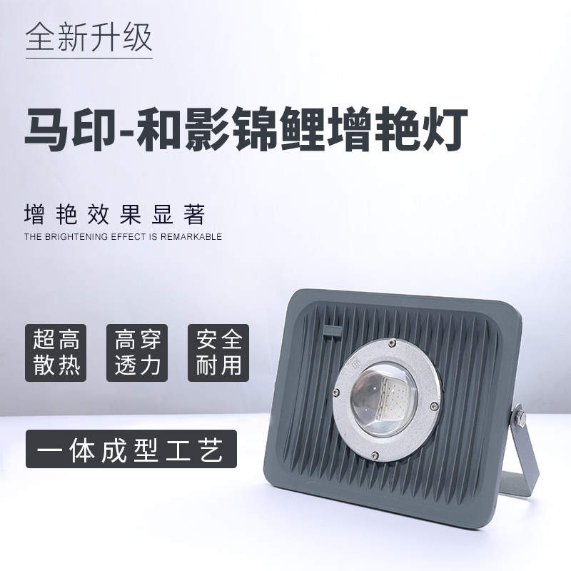 马印神灯锦鲤鱼池专用灯大型户外室外鱼缸射灯拟日光庭院防雨LED