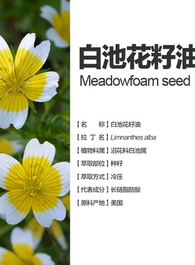 甄选美国进口白池花籽油稳定基础植物油初榨冷压白芒花籽油100ml