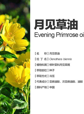 中国有机冷压月见草油基础油100ml