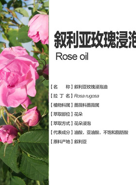 叙利亚进口大马士革玫瑰浸泡油玫瑰基础油护肤植物鲜花刮痧100ml