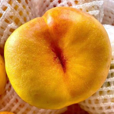 蟠桃油蟠桃新鲜水果黄金蟠桃水蜜桃无毛黄蟠桃蒙阴蜜桃4斤