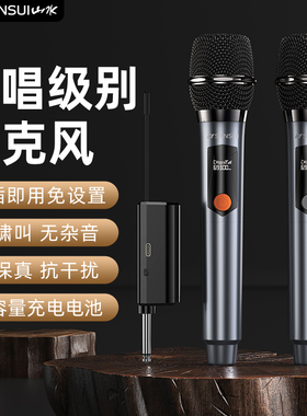 山水充电专业无线话筒降噪麦克风K歌演出舞台一拖二户外KTV通用麦