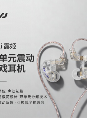 CVJ露姬Luki 双动圈耳机重低音带麦震动游戏hifi有线入耳式typec