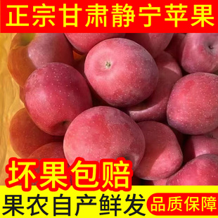 精品甘肃静宁苹果自产自销85#大果产地直发净重10斤整箱包邮