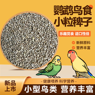 鹦鹉鸟食稗子小颗粒水稗子鸟饲料营养鸟带壳粮食虎皮文鸟牡丹饲料