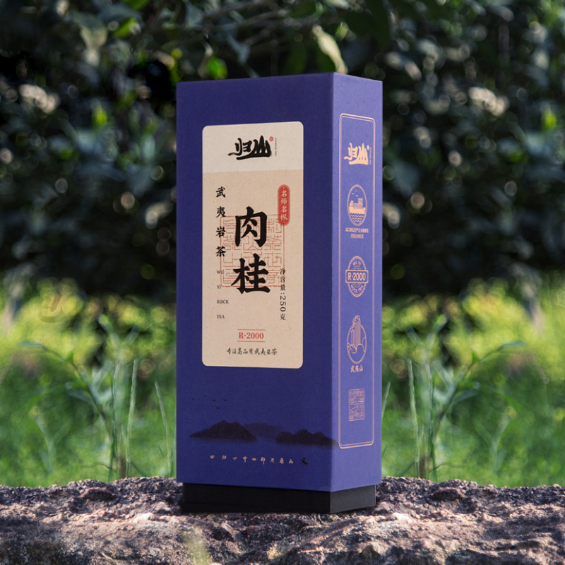 武夷山正岩特级肉桂岩茶