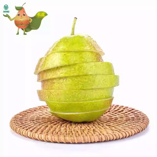 威县新香梨2025新香梨鲜嫩多汁皮薄无渣威梨现摘现发吉梨新鲜