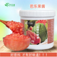 芊花渡红心芭乐果酱含果肉果泥番石榴浓浆果汁奶茶店烘焙商用1.1L