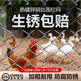 热镀锌铁丝网围栏网护栏网防护钢丝网圈果园菜地养鸡拦牛羊养殖网
