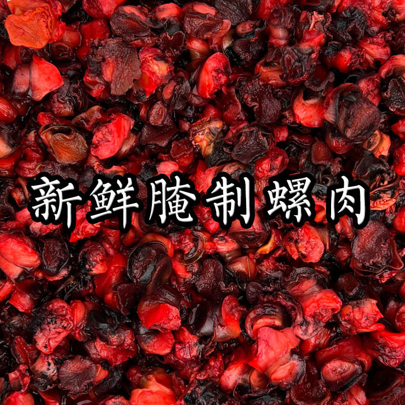 鱼诱血螺肉钓饵野钓黑坑鲫鲤草青