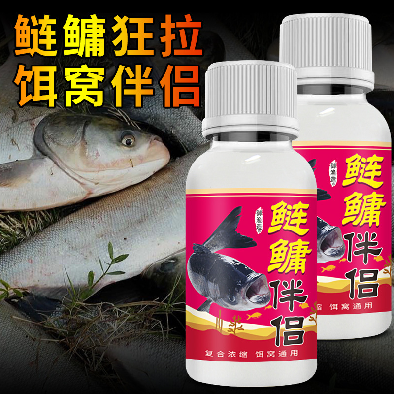 鲢鳙伴侣复合大包头雄鱼花白鲢鳙