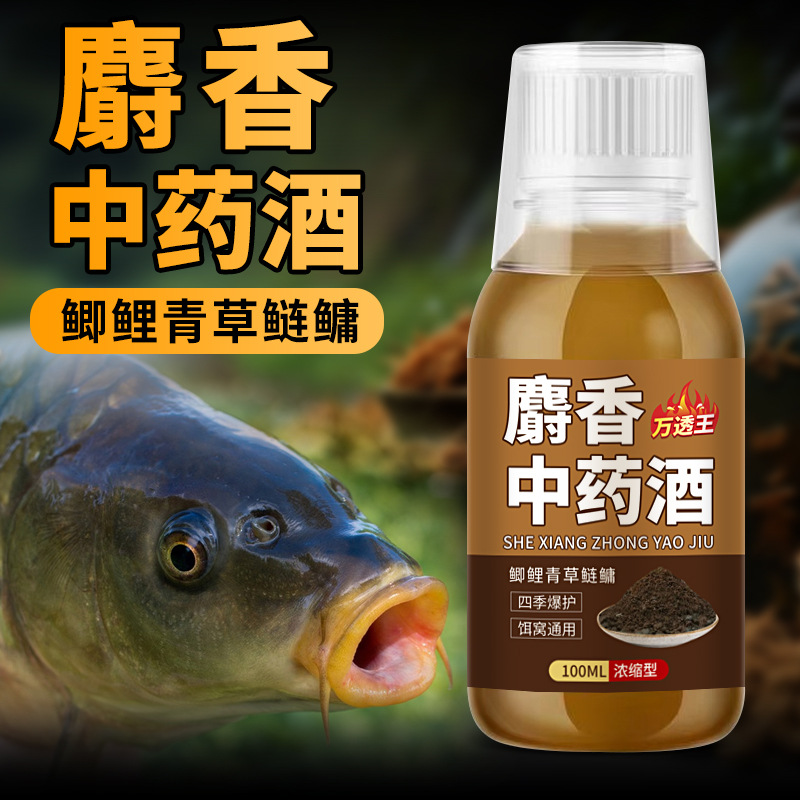 钓鱼小药麝香中药酒秋冬低温鲫鲤