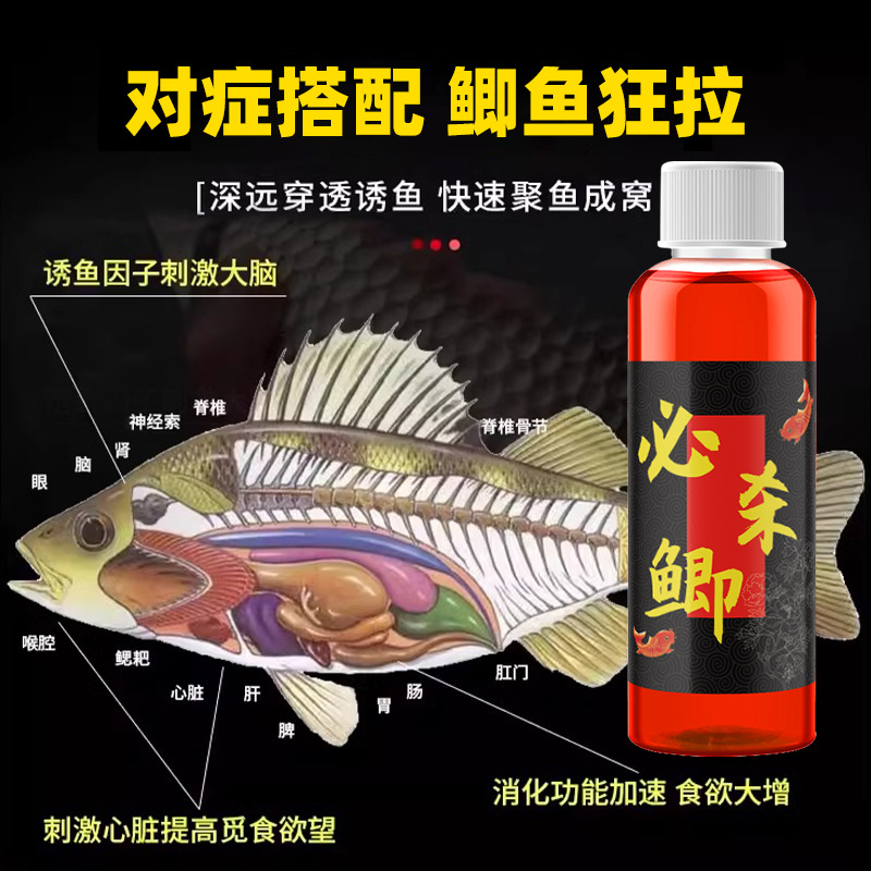 国之良必杀鲫钓鱼小药水秋冬鲫鲤