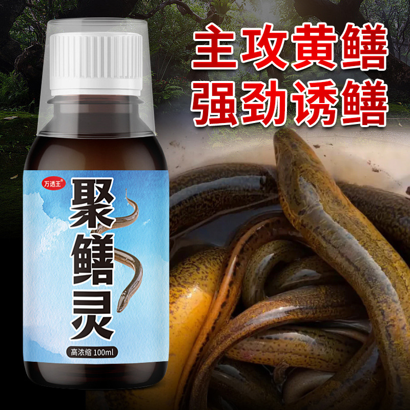正品聚鳝灵钓鱼小药清鳝诱克星巨