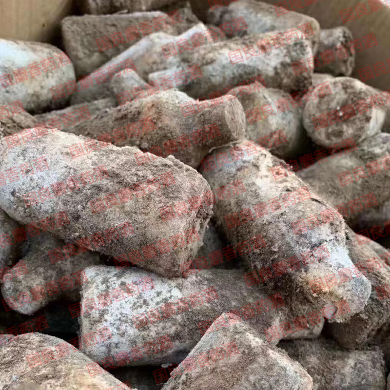 麝香酒钓鱼小药黑坑野钓添加剂纯