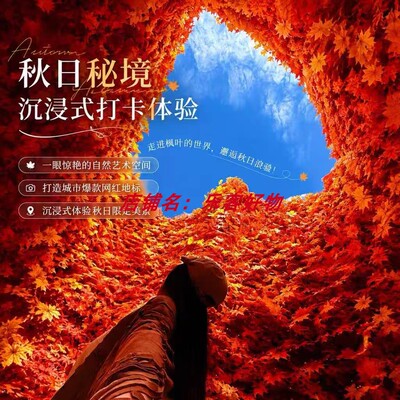 巨型枫叶瀑布爱心花墙网红打卡