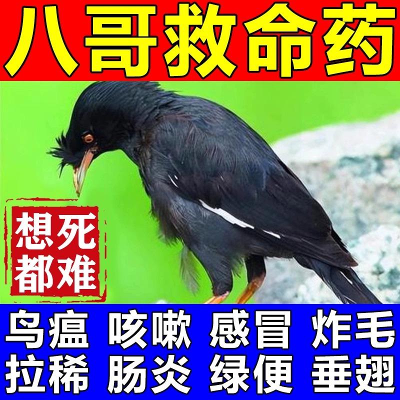 正品八哥专用药拉稀腹泻