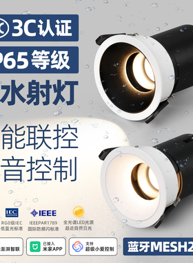 已接入米家APP智能IP65防水射灯嵌入式厨房卫生间全光谱防雾射灯