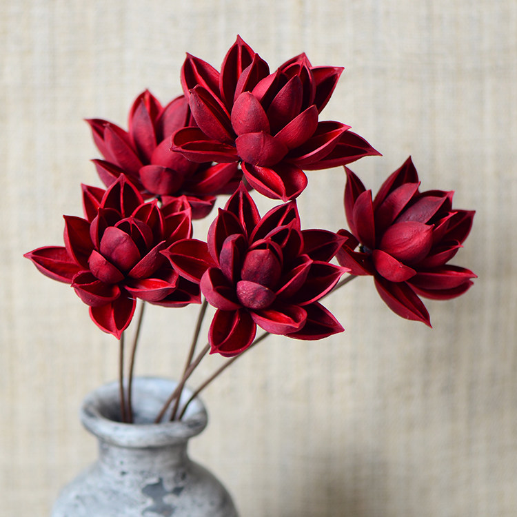 【木莲花】禅意茶室静心装饰干花 荷花 拍摄道具背景干花客厅摆设