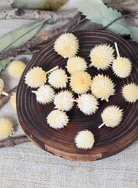 干花植物手作材料幼儿园手工制作