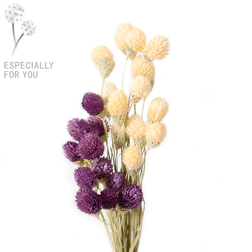 干燥花摆设质量怎么样 干燥花摆设口碑怎么样 小麦优选