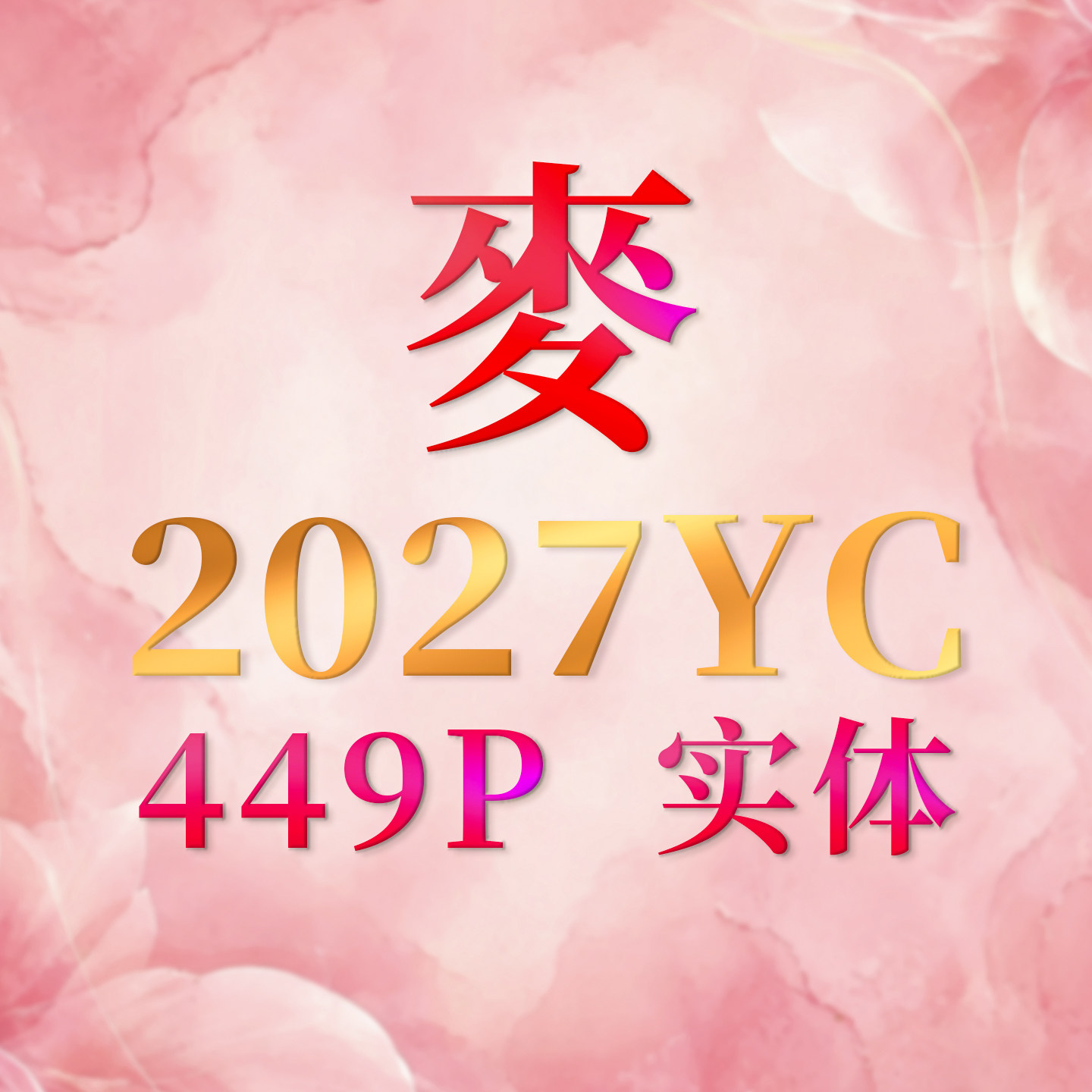现货麦老师2027羊年YC2027丁未年实体完整港版449p摆设