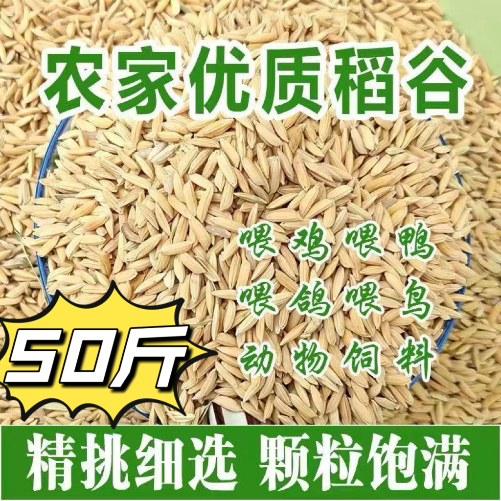 50斤稻谷长稻谷带壳谷子稻谷喂鸡鸭鹅仓鼠钓鱼打窝厂家直发