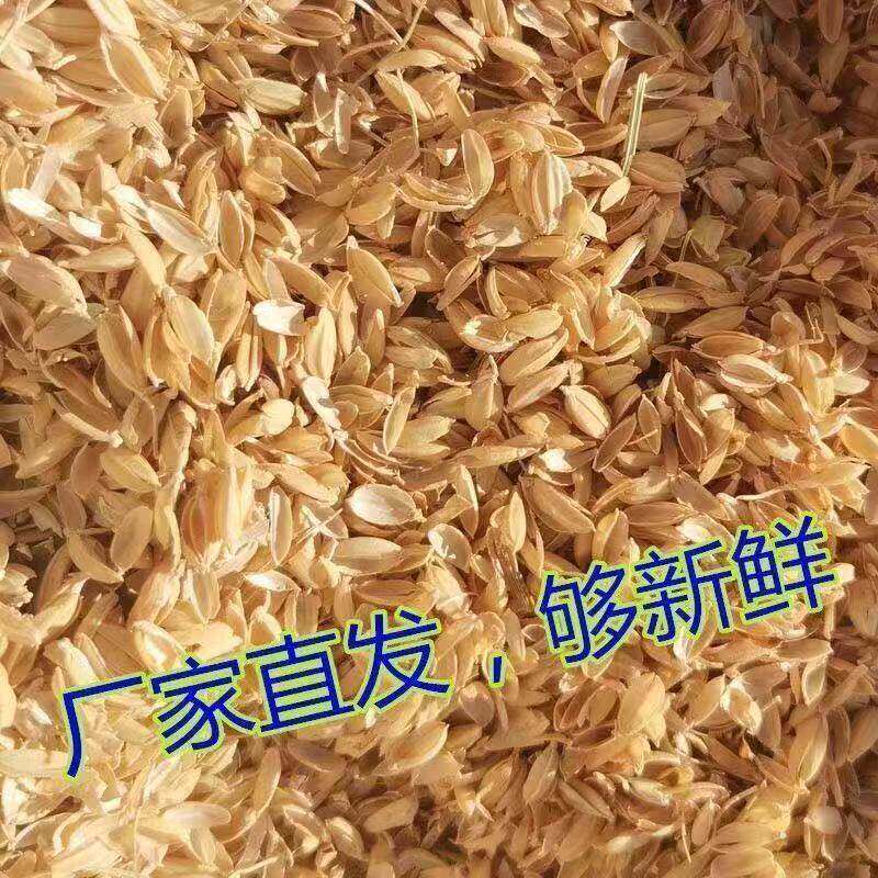 稻壳谷壳现磨新鲜稻壳发枕头填充家鸡谷糠酵酿酒花草营养土