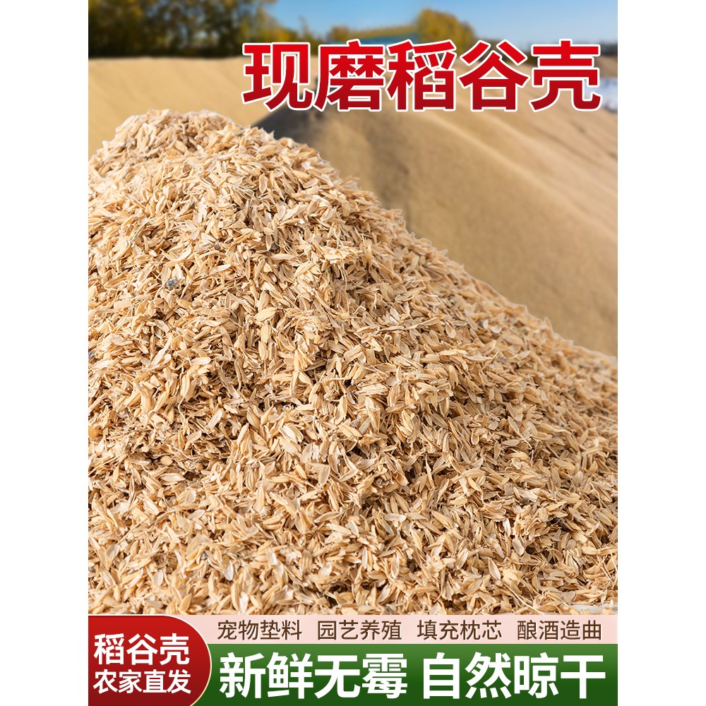 东北稻谷壳稻壳炭农家种菜腐熟水稻枕头芯料芦丁鸡发酵床酿酒饲料