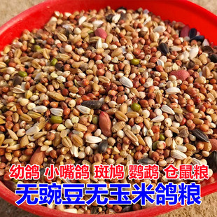 鸽子粮无豌豆无玉米鸽粮营养鸟食信鸽观赏鸽小颗粒斑鸠清除幼鸽粮