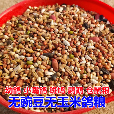 鸽子粮无豌豆无玉米鸽粮营养鸟食信鸽观赏鸽小颗粒斑鸠清除幼鸽粮