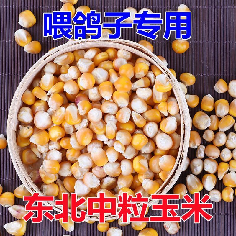 玉米粒东北新玉米中粒玉米鸡鸭鹅鸟饲料苞米喂鸽子专用玉米粒20斤