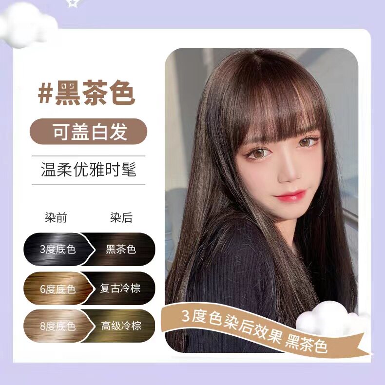 嘉瀛彩色广东微潮色DIY染发剂