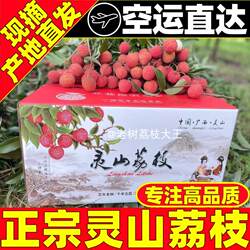 灵山桂味荔枝新鲜现摘当季九I里香仙进I奉观音I绿广西老树荔枝I王