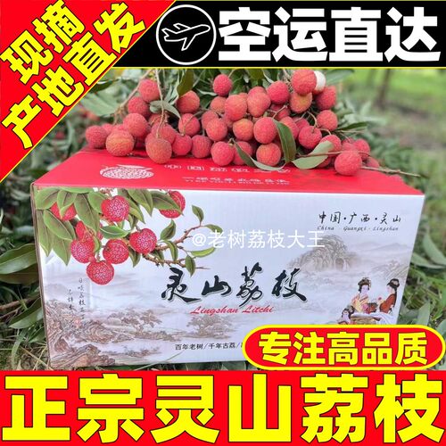 灵山白糖罂荔枝新鲜现摘当季妃子1笑广西老树鲜荔枝农家时令水果